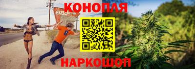 ГАЛЛЮЦИНОГЕННЫЕ ГРИБЫ Свободный