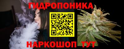 ГАЛЛЮЦИНОГЕННЫЕ ГРИБЫ Свободный