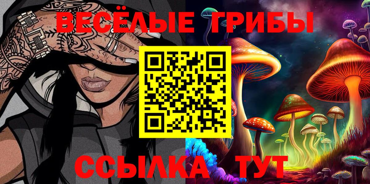 Саранск  Галлюциногенные грибы мухоморы  Вход с VPN  Псилоцибиновые грибы мицелий 