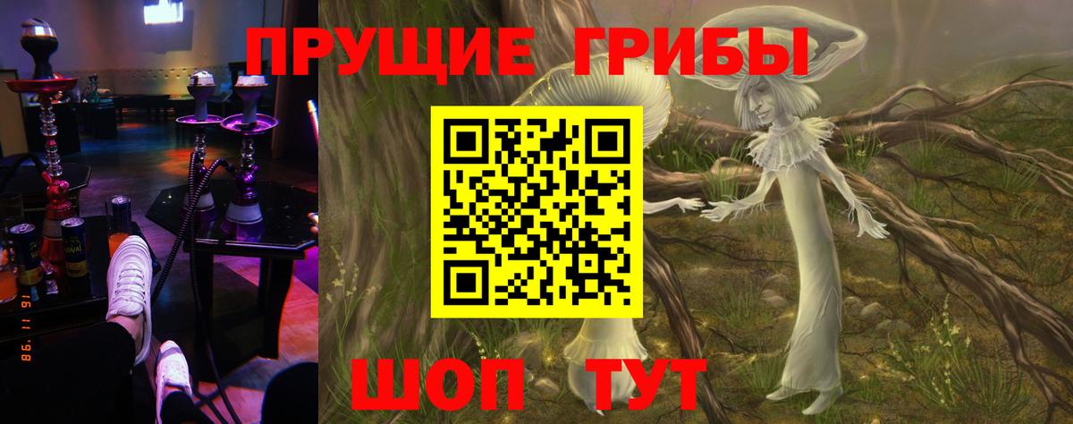 Псилоцибиновые грибы Psilocybe Саранск