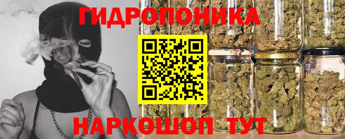 Конопля план Саранск